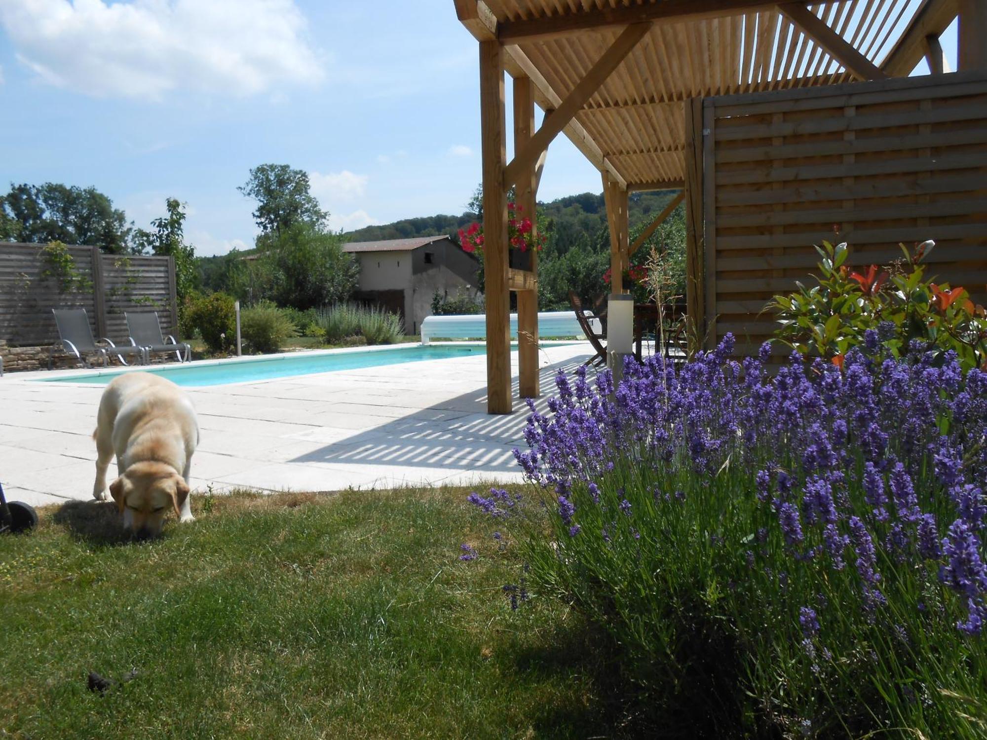 Les Grands Pres Bed & Breakfast Geney Exterior foto